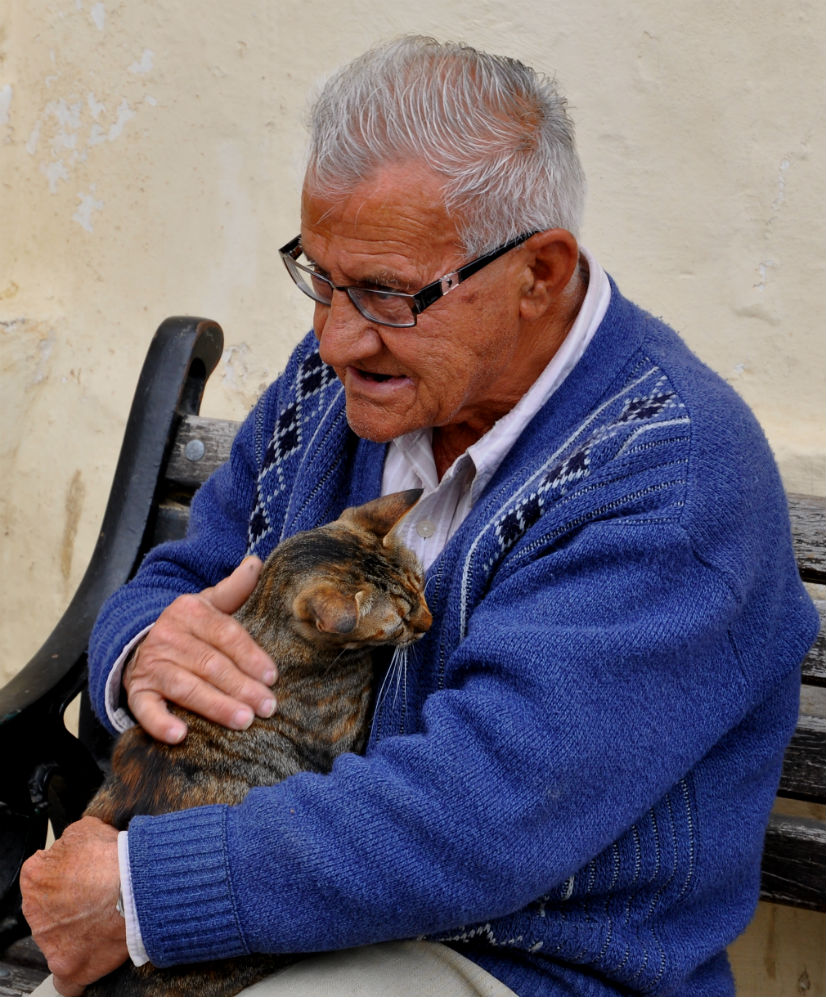 Der alte Mann und seine Katze in Valletta