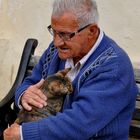 Der alte Mann und seine Katze in Valletta