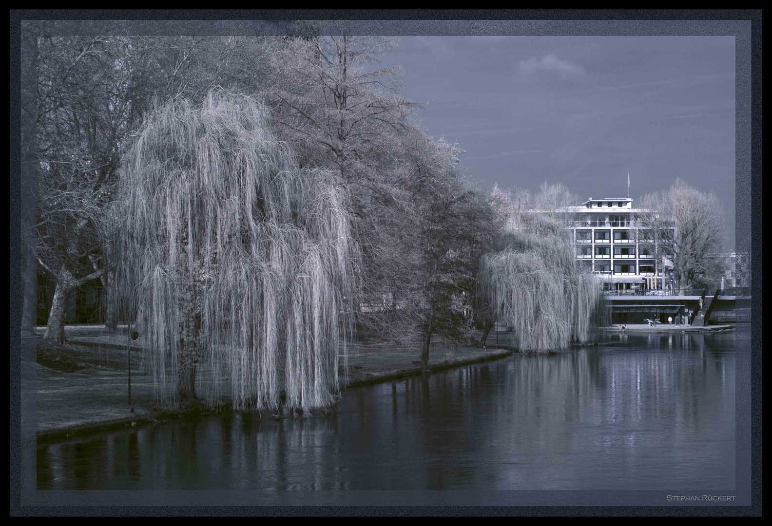 Der alte Neckar bei Heilbronn