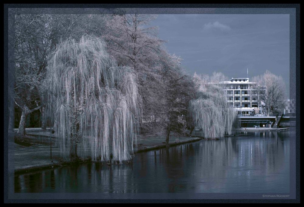 Der alte Neckar bei Heilbronn