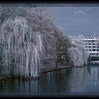 Der alte Neckar bei Heilbronn