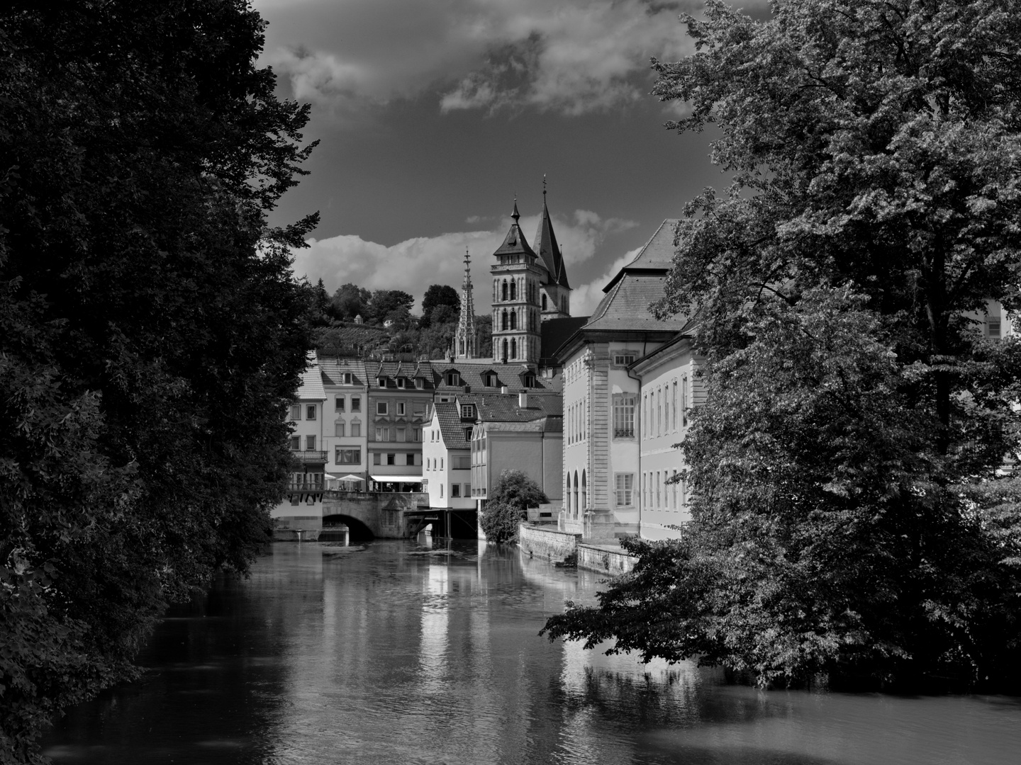 der alte Neckar in Esslingen