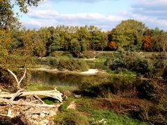 Der alte Rhein bildet hier die Grenze von Frankreich und Deutschland