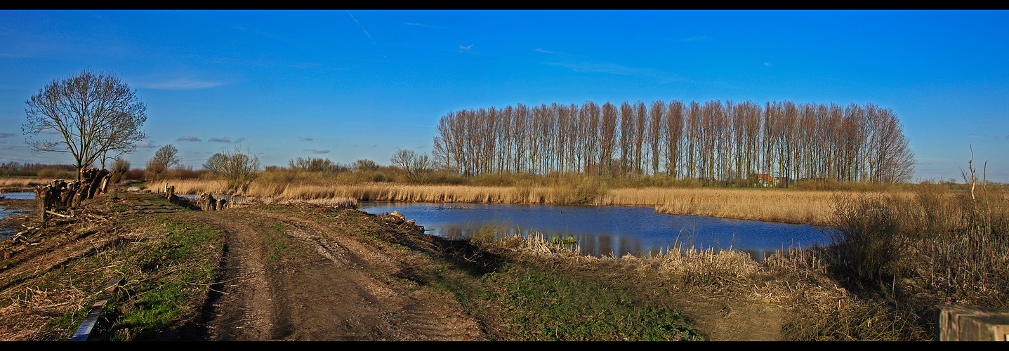 der alte Rheinarm