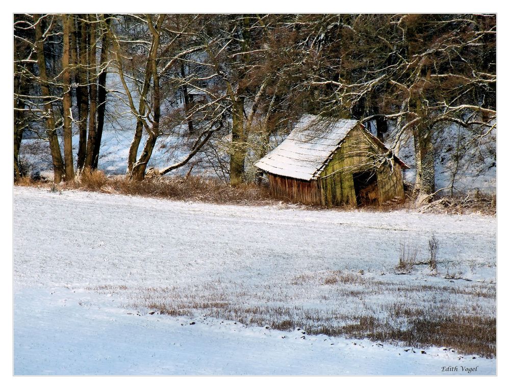 der alte Schuppen....