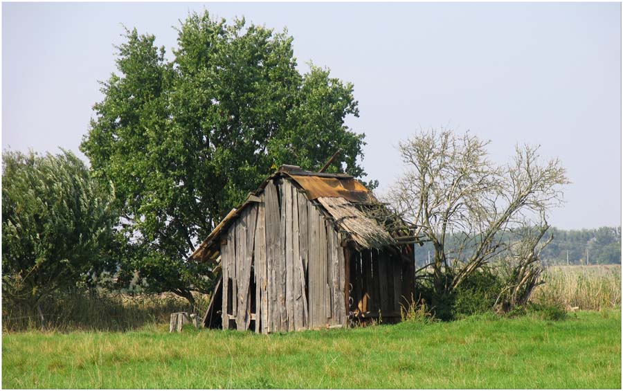 der alte Schuppen