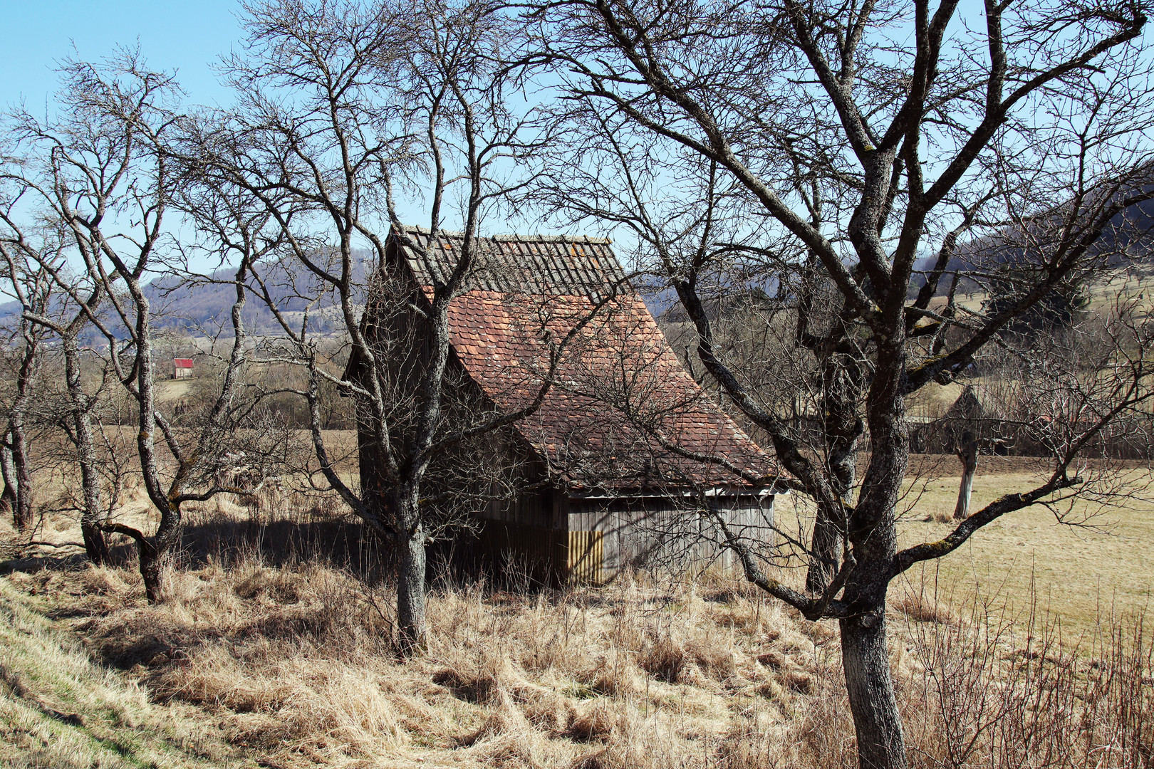 der alte Schuppen