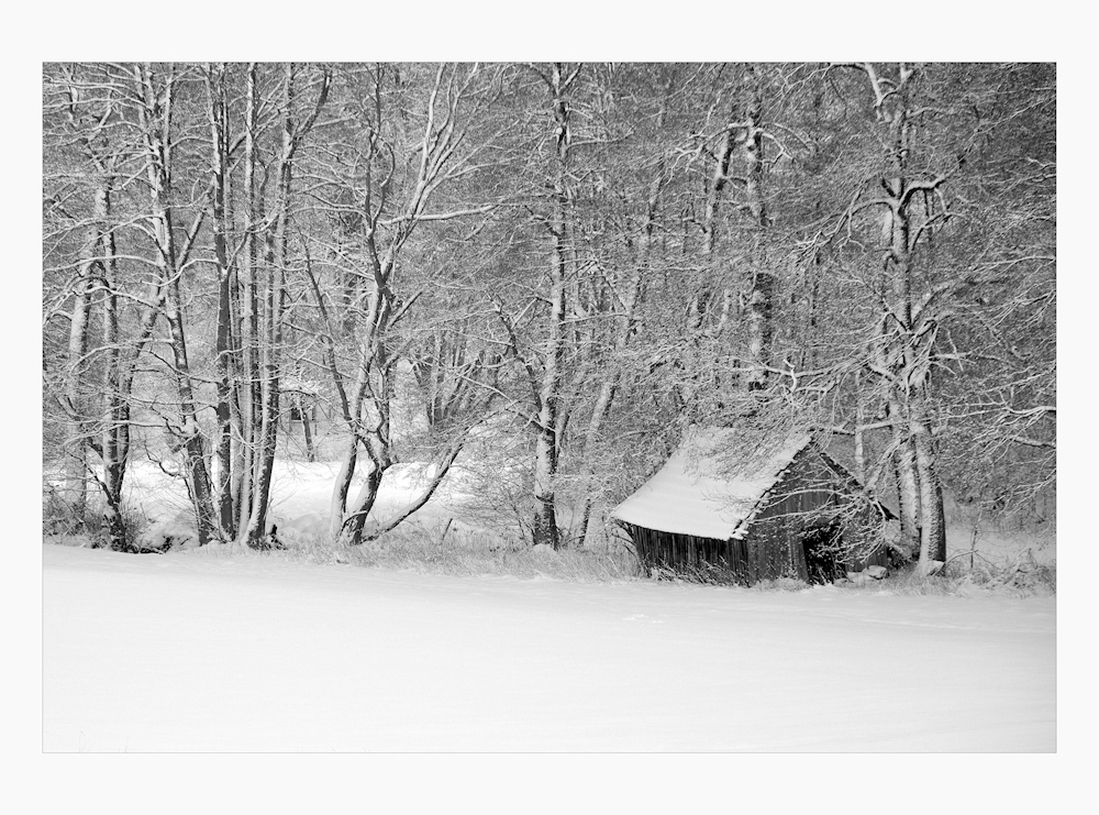 der alte Schuppen....  im Winter