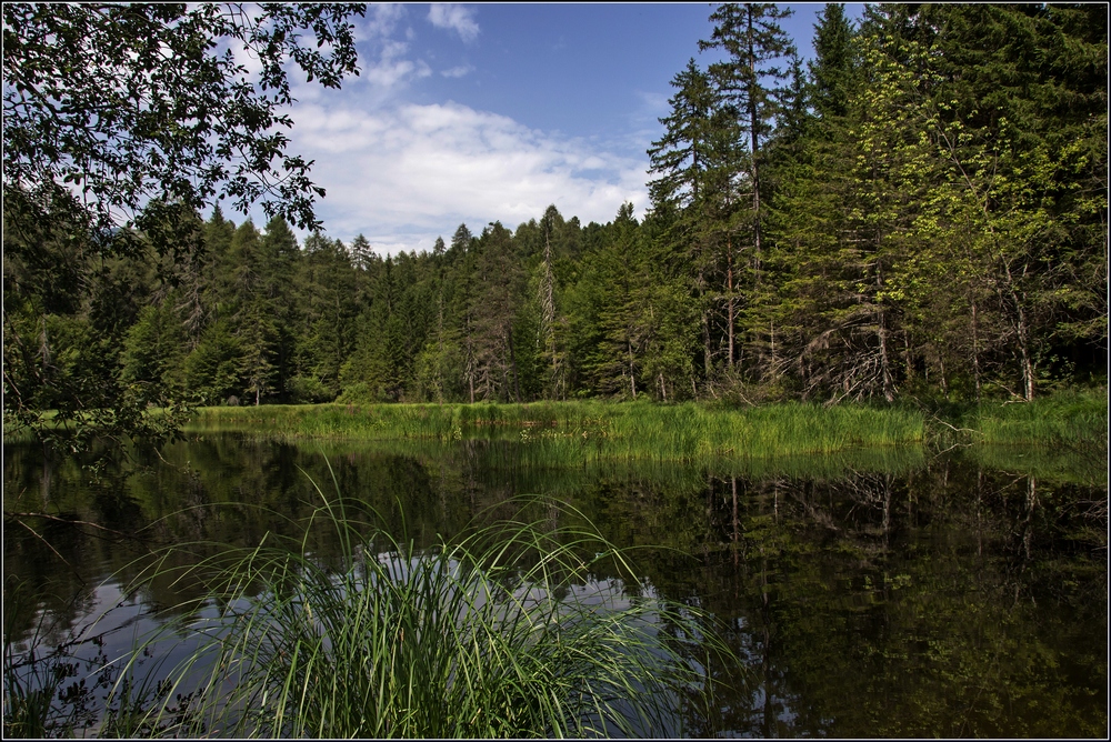 Der alte See