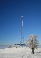 Der alte Sendeturm Beromünster