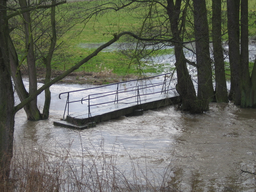 Der Alte Steg bei Hochwasser