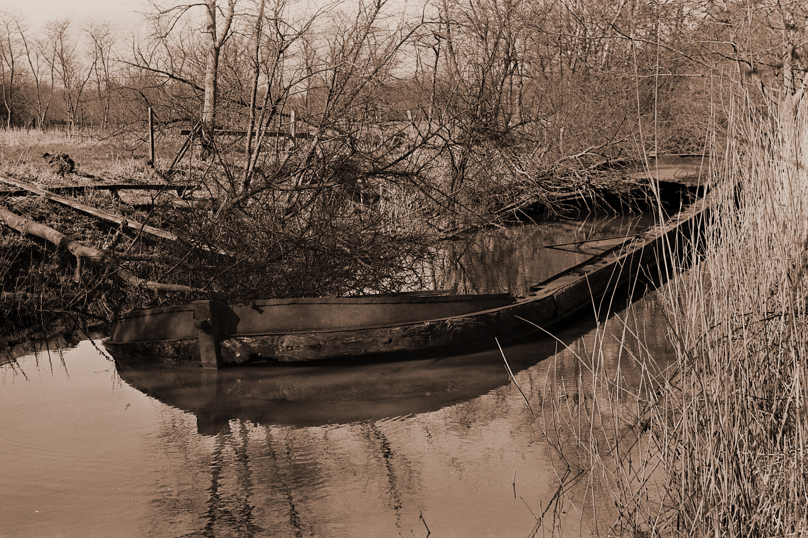 Der alte Torfkahn....im Berumerfehner Moor 1972 Ostfriesland