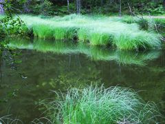 der alte Tristachersee..