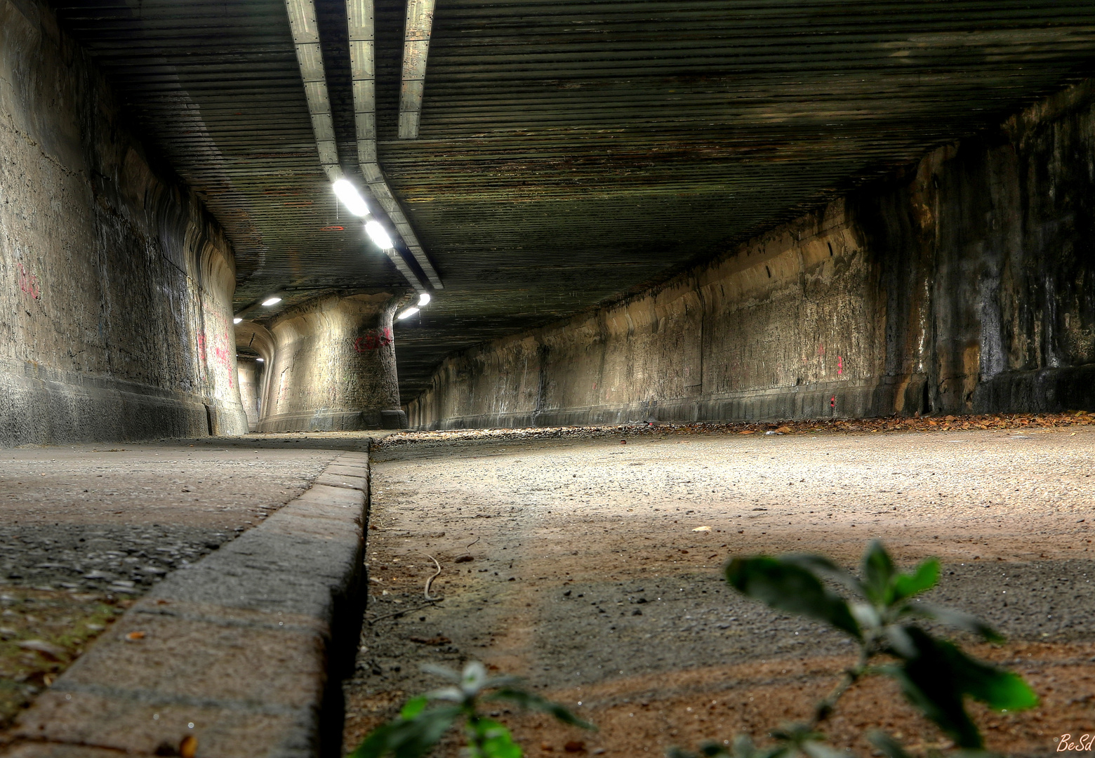 der alte Tunnel... (II)