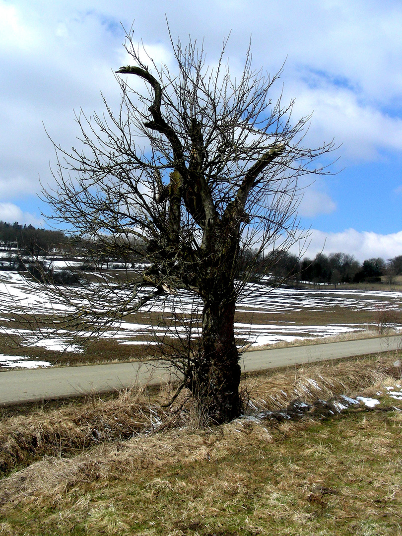 Der Alte von der Dorfwiese