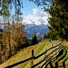 der alte Weg ins Arztal mit Blick zum Blaser