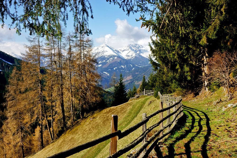 der alte Weg ins Arztal mit Blick zum Blaser