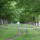 Der alte weg zum Schloß Carlsburg ...