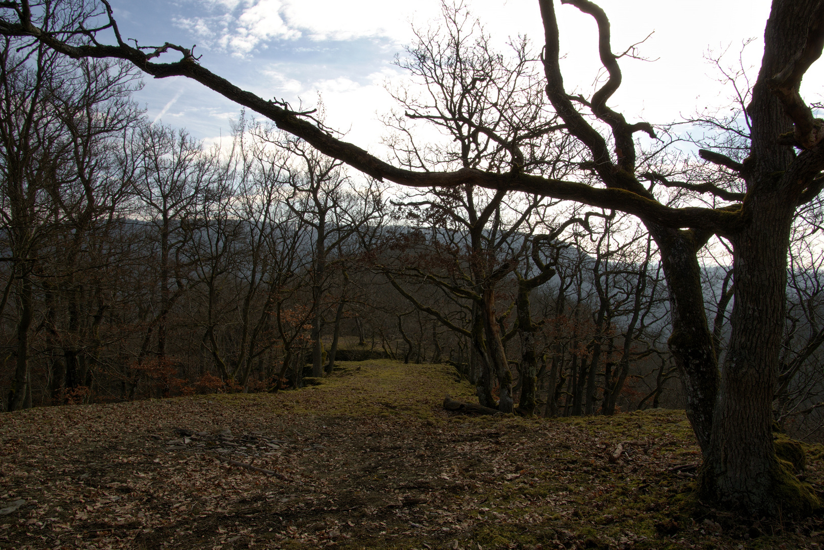 Der alte Weg zur Burg