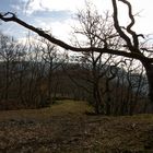 Der alte Weg zur Burg