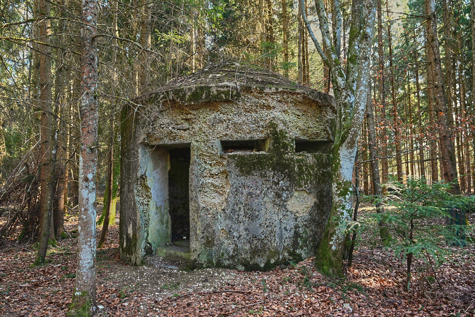 Der alte Wehrmachtsbunker  
