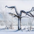 der alte winterbaum