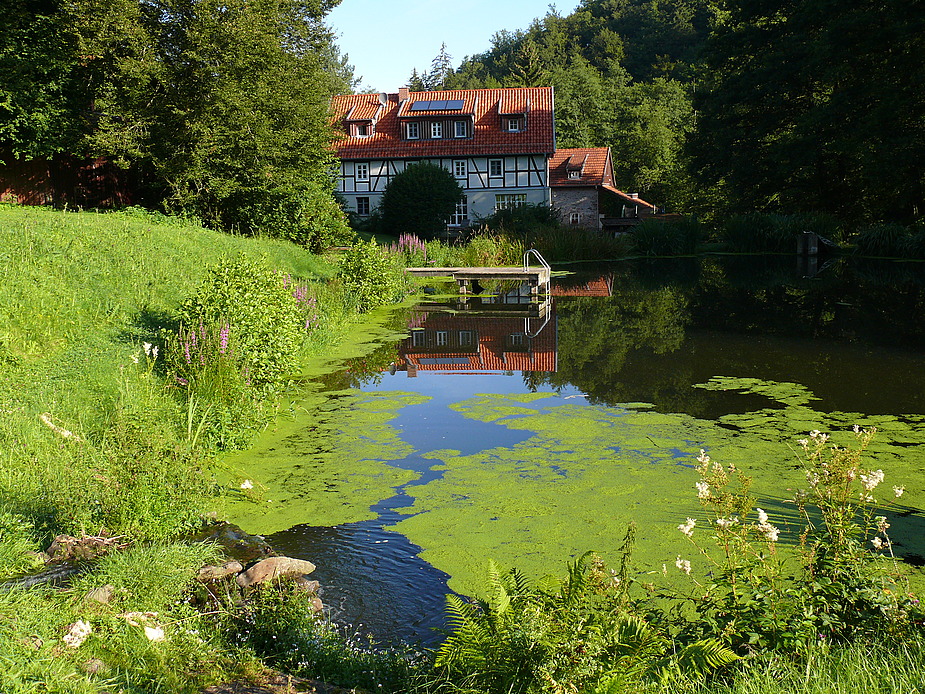 Der alten Mühle bekommt ihr Lebensabend gut.