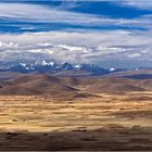 Der Altiplano