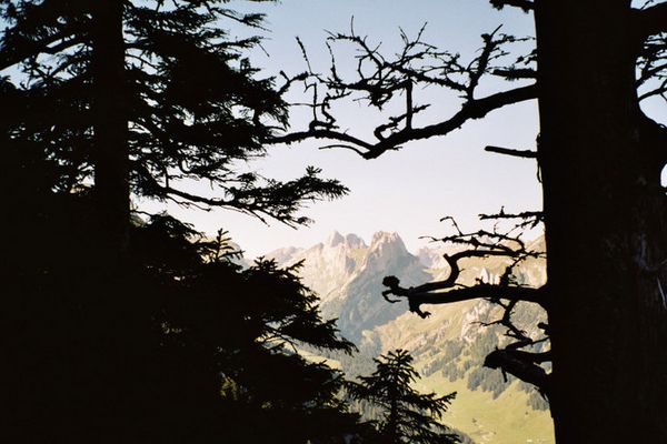Der ALTMANN im Alpsteingebirge
