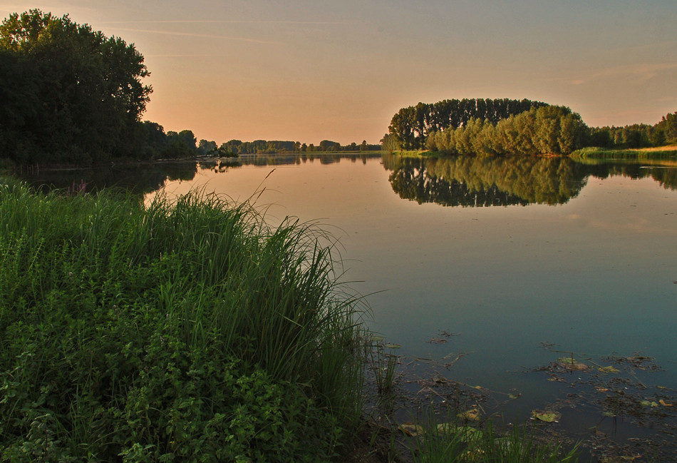 Der Altrhein im Abendlicht