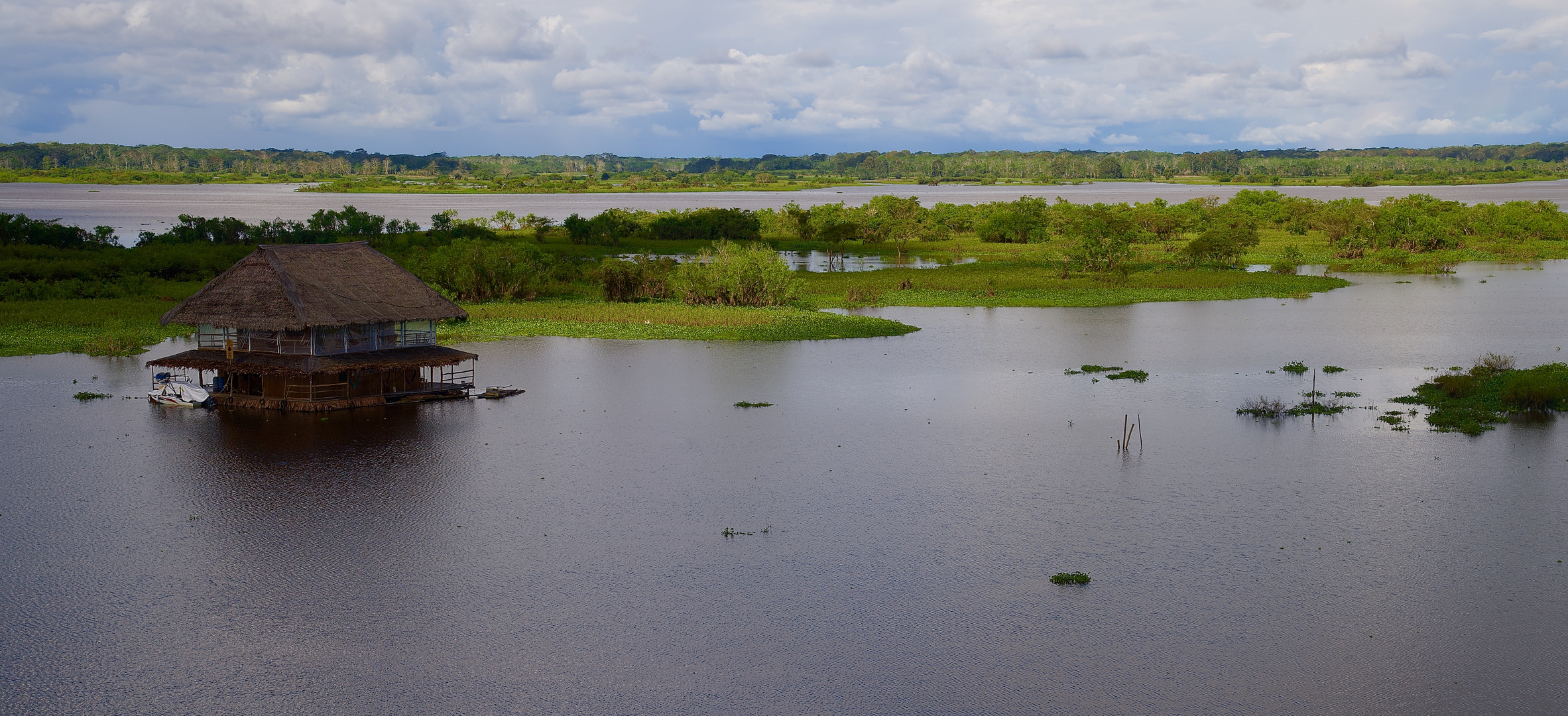 Der Amazonas bei Iquitos in Peru