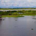 Der Amazonas bei Iquitos in Peru