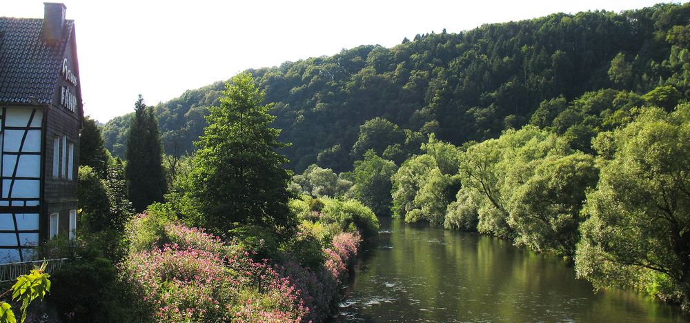 Der Amazonas der Bergischen Landes (2)