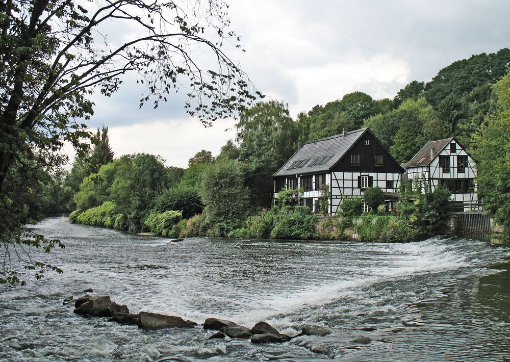 Der Amazonas des Bergischen Landes