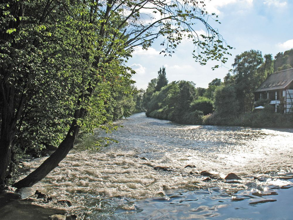 Der Amazonas des Bergischen Landes (3)