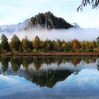 Der Ameisstein am Almsee in Grünau