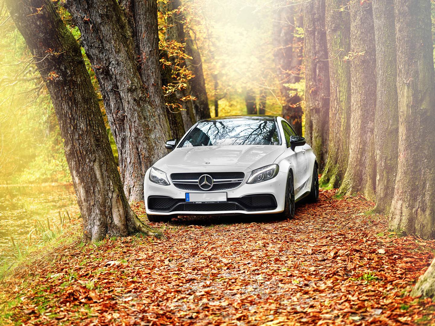 Der AMG im Herbstlaub