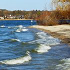 Der Ammersee