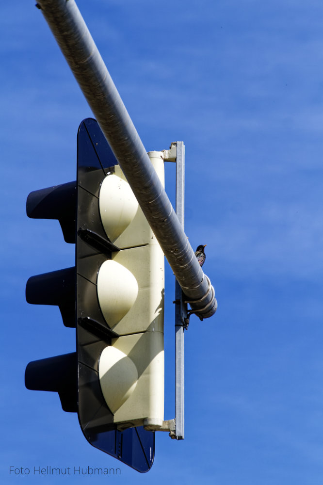 DER AMPEL DEN RÜCKEN ZEIGEN