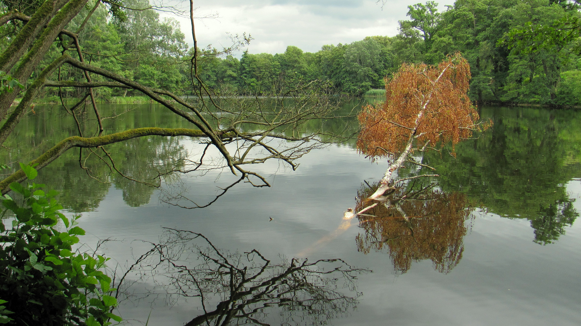 der Amtssee