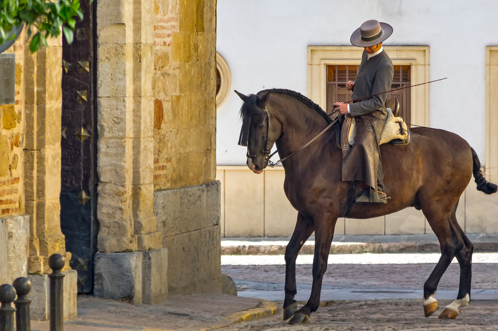 Der Andalusier – Ideal eines Reitpferdes