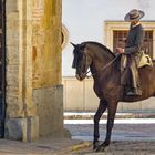 Der Andalusier – Ideal eines Reitpferdes