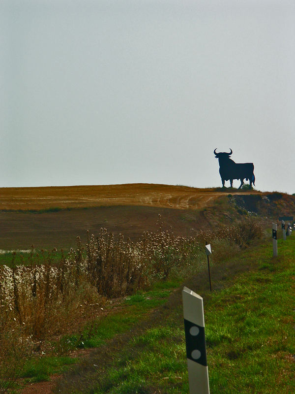 Der andalusische Stier