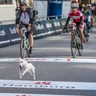 Der andere Cyclassics Sieger.. tierisch