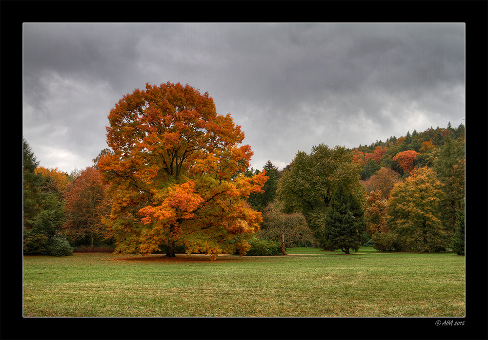 Der andere Herbst - 3