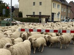 der andere ostermarsch