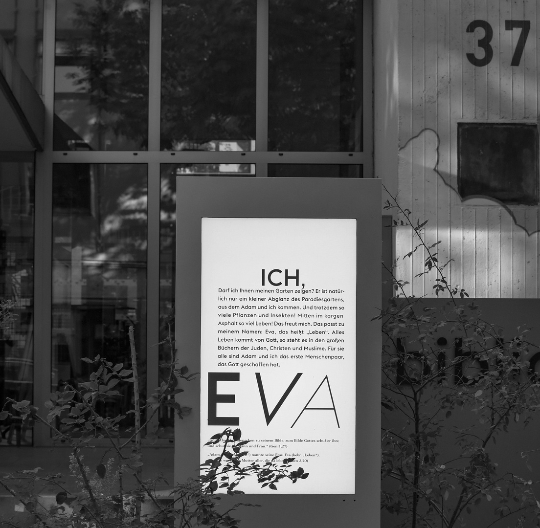 Der Anfang Foto & Bild reportage dokumentation, zeit geschichte