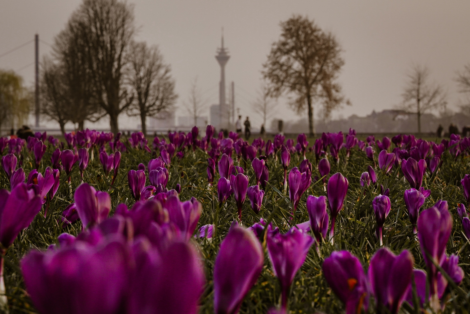 Der Anfang der Frühling 