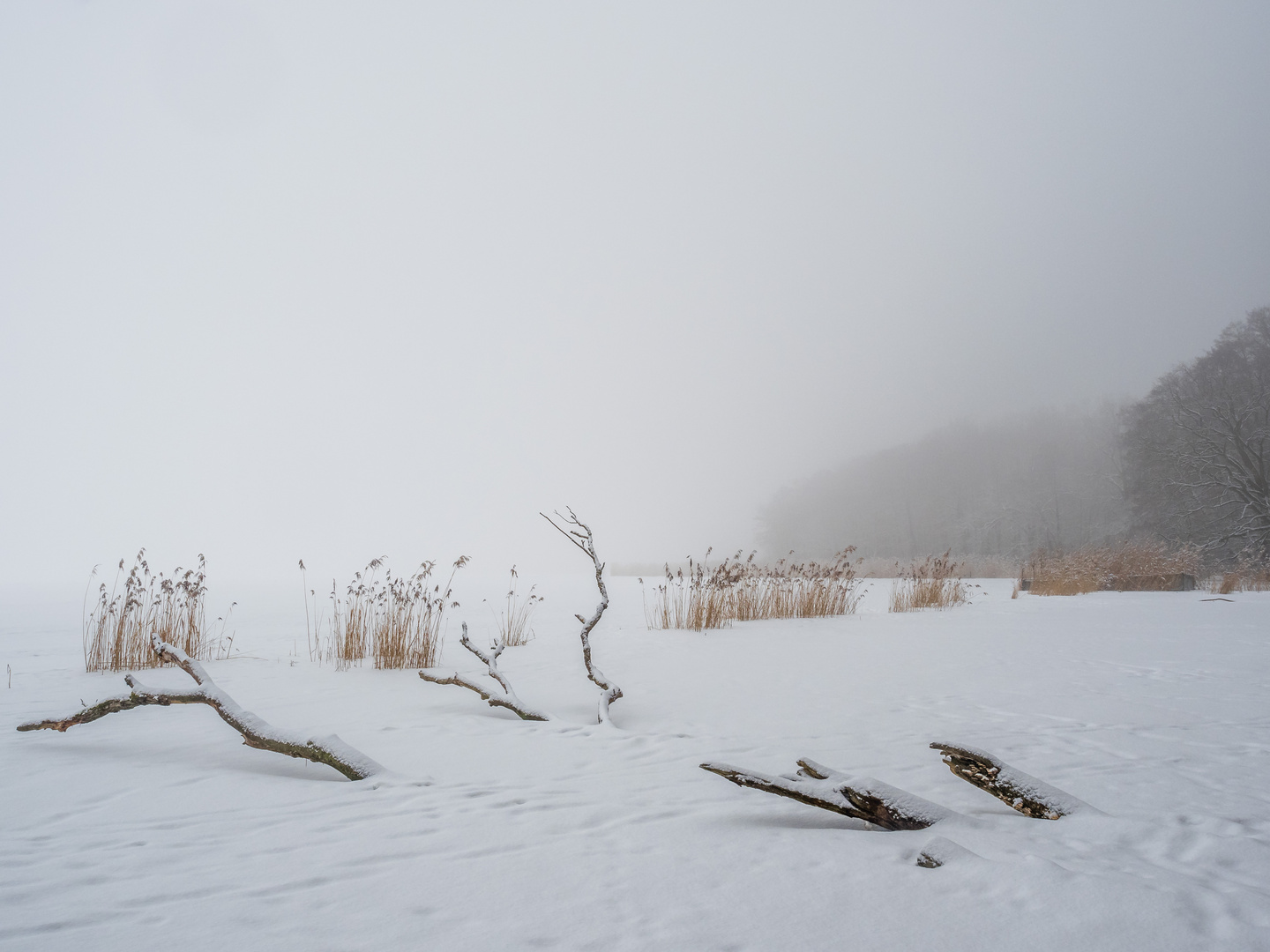 Der Anfang vom Ende des Winters?