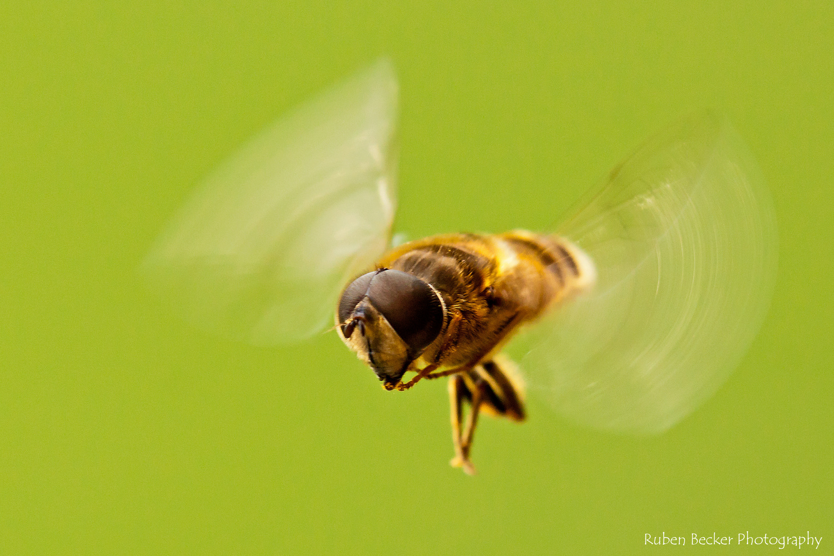 Der Anflug